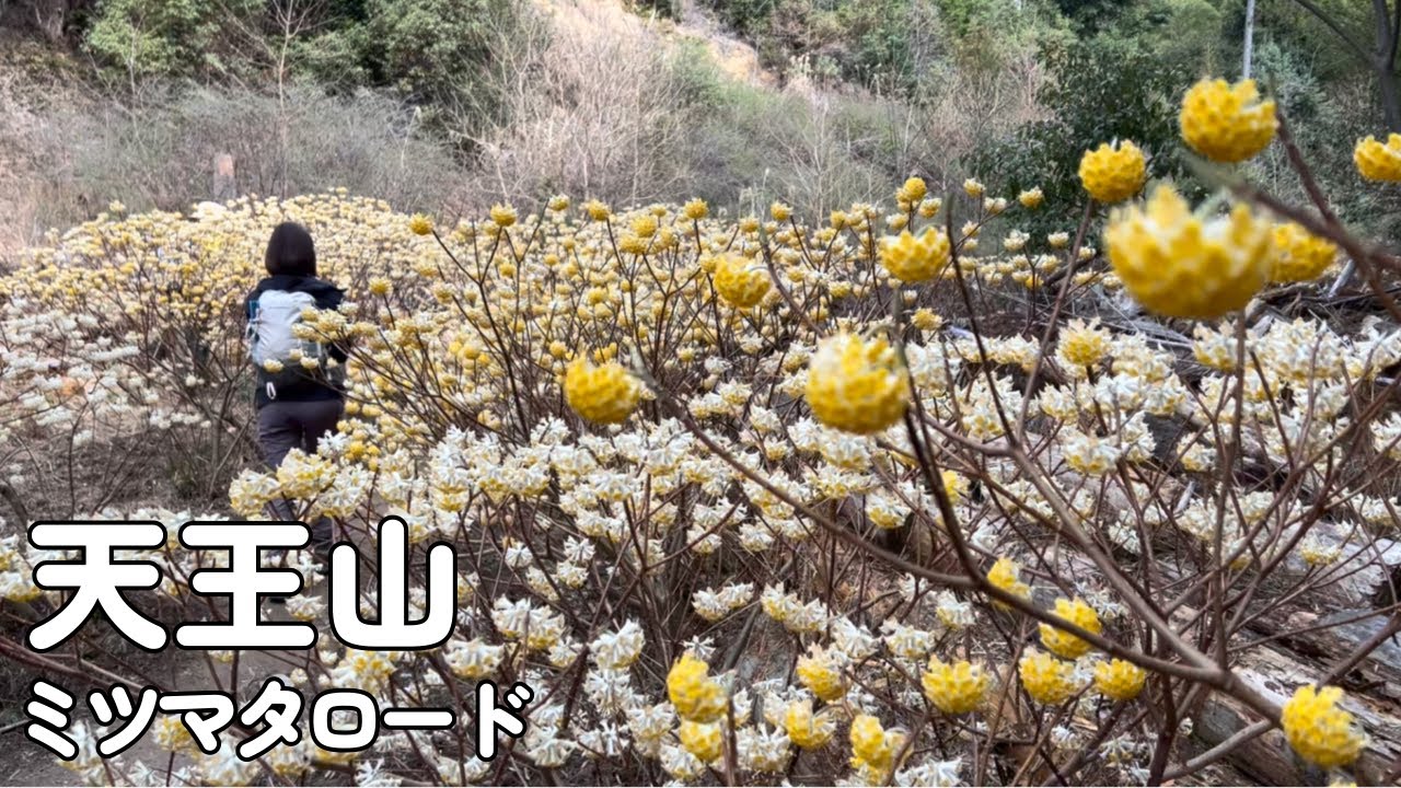 Couple Climbing] Mt. Tenno - Enjoy the view of the Mitsumata in