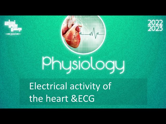 L7&8, Electrical activity of the heart and ECG, Physiology.