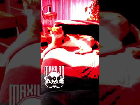 EDU K - VAGABUNDO (Clipe Oficial)