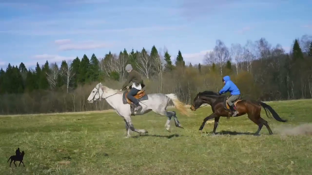 ПРО ШКОЛУ ДЛЯ МУЖЧИН | БРАТЬЯ СТЕРЛИНГ