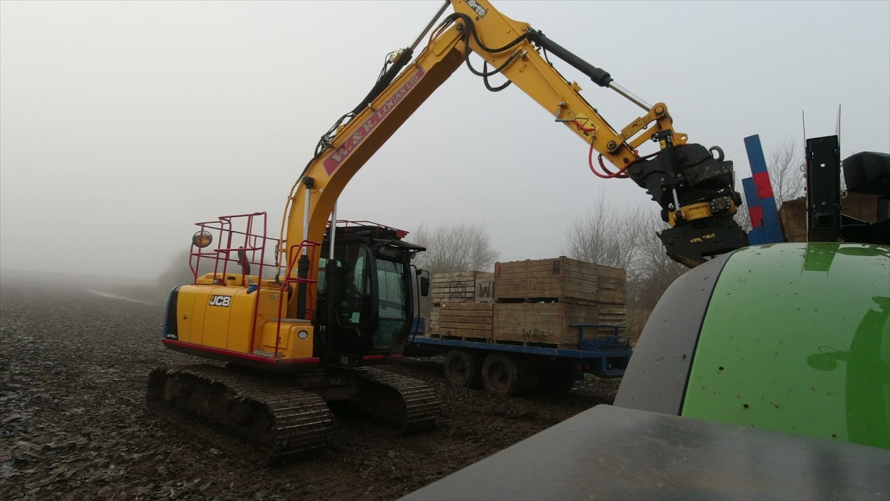 Cabbage harvest with the #tattiemen