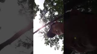 20180613_곤지암 자연휴양림(1)