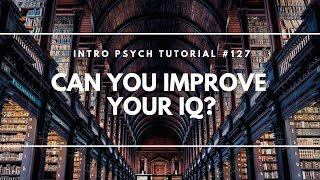 Can You Improve Your IQ? (Intro Psych Tutorial #127) screenshot 5