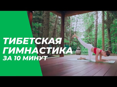 Тибетская гимнастика за 10 минут  Йога для начинающих.