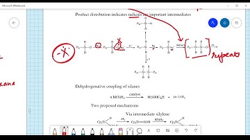 Inorganic Polymers-22 - Silanes Polyphosphazene