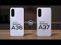 Samsung Galaxy A36 VS Samsung Galaxy A37.                 Subscribe for more like this