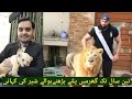 Pet cub lion inside house |baby playing with lion| How to feed lion cub| lion in Lahore