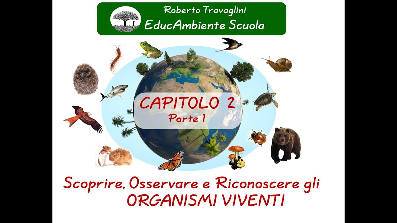 Osserviamo gli Organismi Viventi_cap. 2 1 Osserviamo gli Organismi Viventi_cap. 2 1