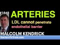 Malcolm kendrick   arteries  ldl cannot penetrate endothelial barrier