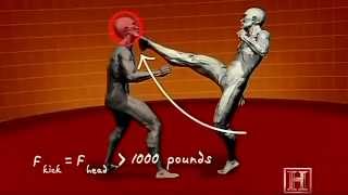 Human Weapon KungFu & Taekwondo