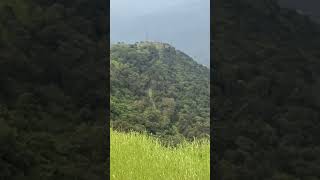 31 January 2024 31 January 2024