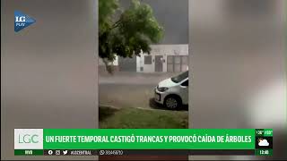 FUERTE TEMPORAL EN TRANCAS: ÁRBOLES CAÍDOS Y TECHOS DESTRUIDOS #TUCUMÁN