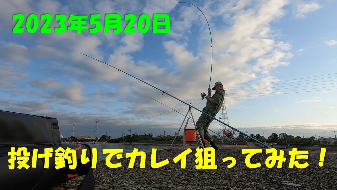 【投げ釣り】_カレイ釣り_兵庫県南西部_良型？