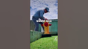 To find a cache hidden near you, download the Geocaching app and check out the map in your area! 👀