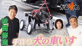 松岡修造のみんながん晴れ】犬も飼い主も笑顔になる“車いす”(2023年2月