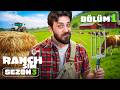 DEDEDEN KALAN ÇİFTLİĞE DÖNDÜK! | RANCH SIMULATOR | S3 B1