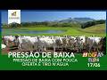 HORA DO BOI 17/06 PRESSÃO DE BAIXA COM POUCA OFERTA É TIRO N'ÁGUA