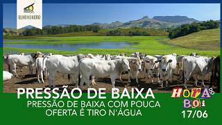 HORA DO BOI 17/06 PRESSÃO DE BAIXA COM POUCA OFERTA É TIRO N'ÁGUA