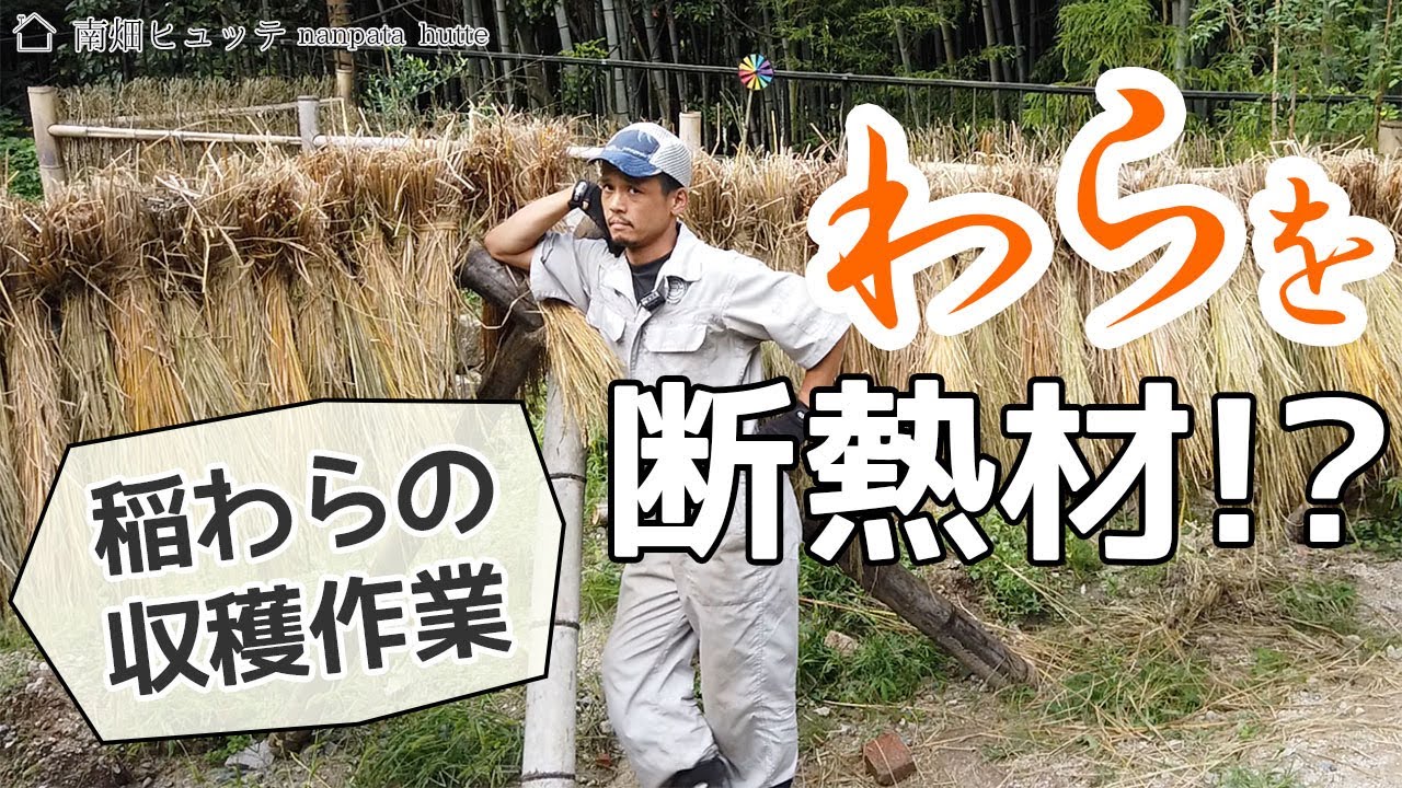 藁(わら)を断熱材に使う！？稲わらの収穫とはざ掛け作業 - YouTube