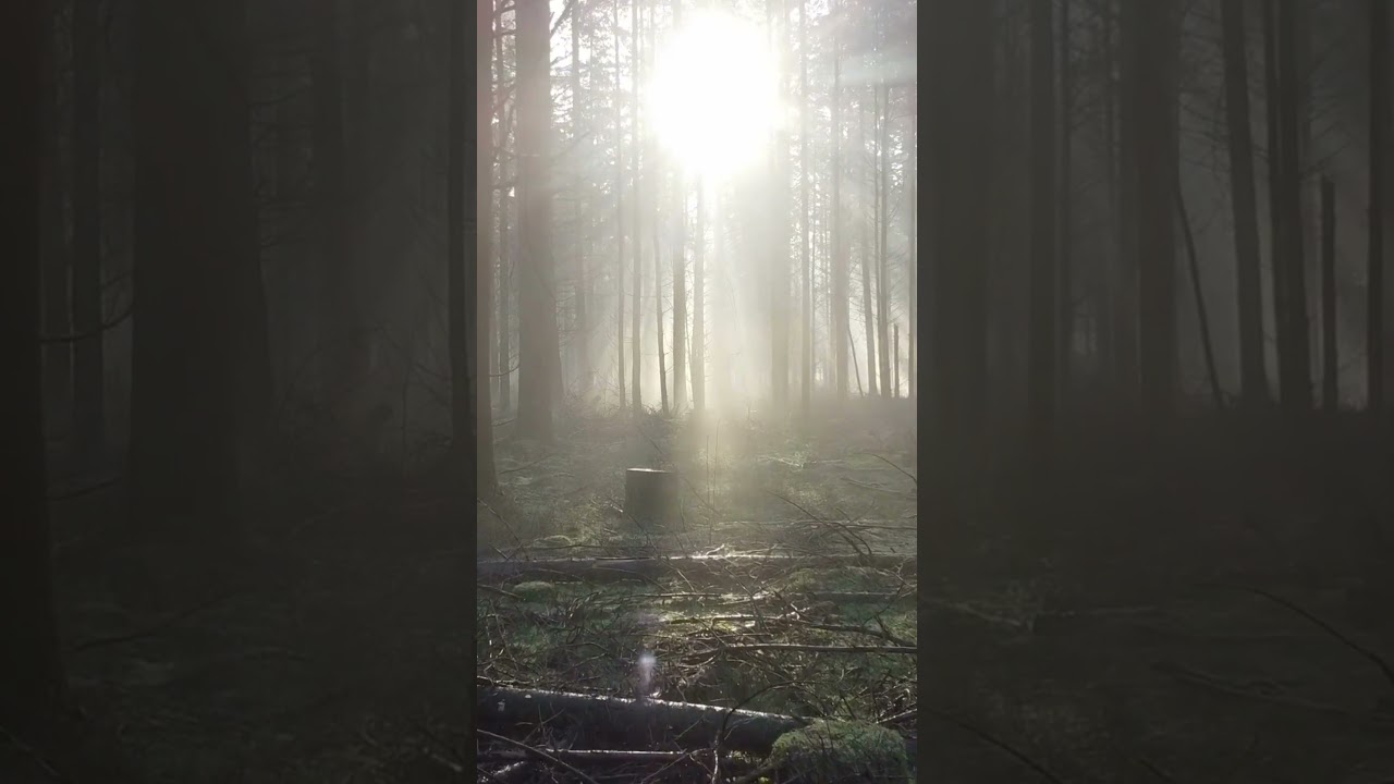 The Haunting Horror of Mama Wabbits: Unveiling the Dark Folk Lore