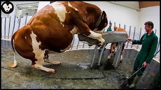 How Farmers Use Modern Technological Machinery On The Farm