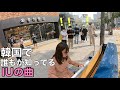 韓国で”国民の妹”と呼ばれるほど有名な"IU"の曲を突然弾き始めたら、韓国人の反応は!?(Good day)【ストリートピアノ】