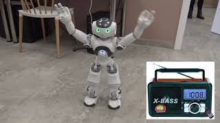 NAO BRAKE FM 100,8