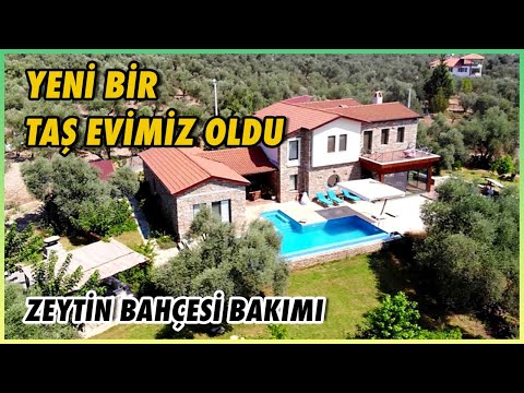 Yeni Bir Taş Evimiz Oldu | Zeytin Bahçesi Bakımı | Peyzaj İşleri