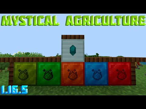 Видео: Mystical Agriculture[1.16.5] РЕСУРСЫ ИЗ РАСТЕНИЙ!