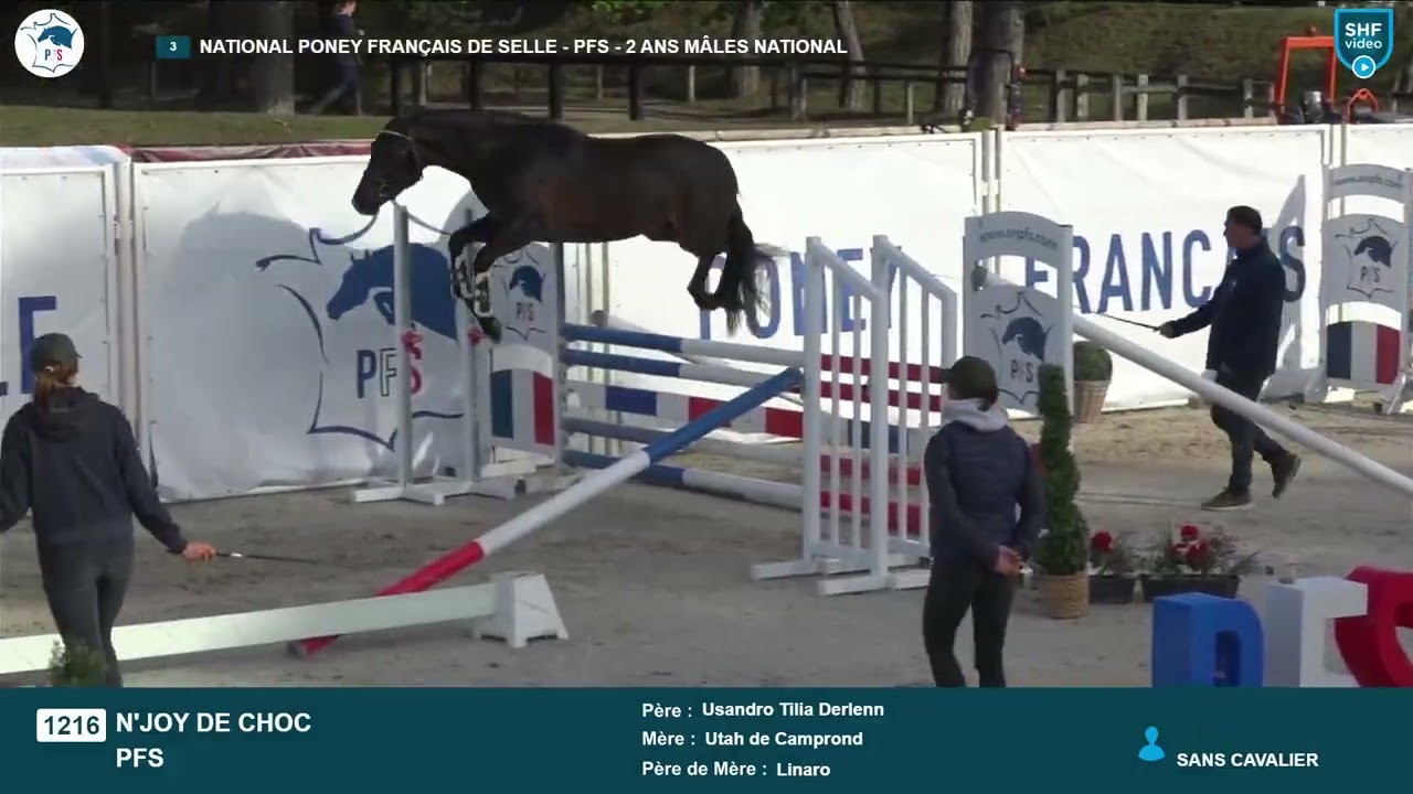 N'JOY de Choc - Championnat de France PFS 2025