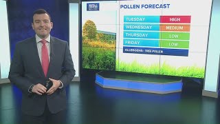 Pollen counts high as signs of spring pop up around Maine