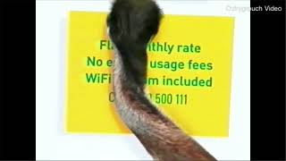 40A5CC1F-B616-453D-8ECF-D89B42BB1FAD.mp4 40A5CC1F-B616-453D-8ECF-D89B42BB1FAD.mp4