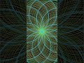 Amazing Python Turtle Art