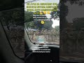 ex marine NAGHANDA na para protektahan si bato#fypシ゚viral