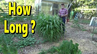 How Much Time Should You Spend In The Garden 6-27-2024