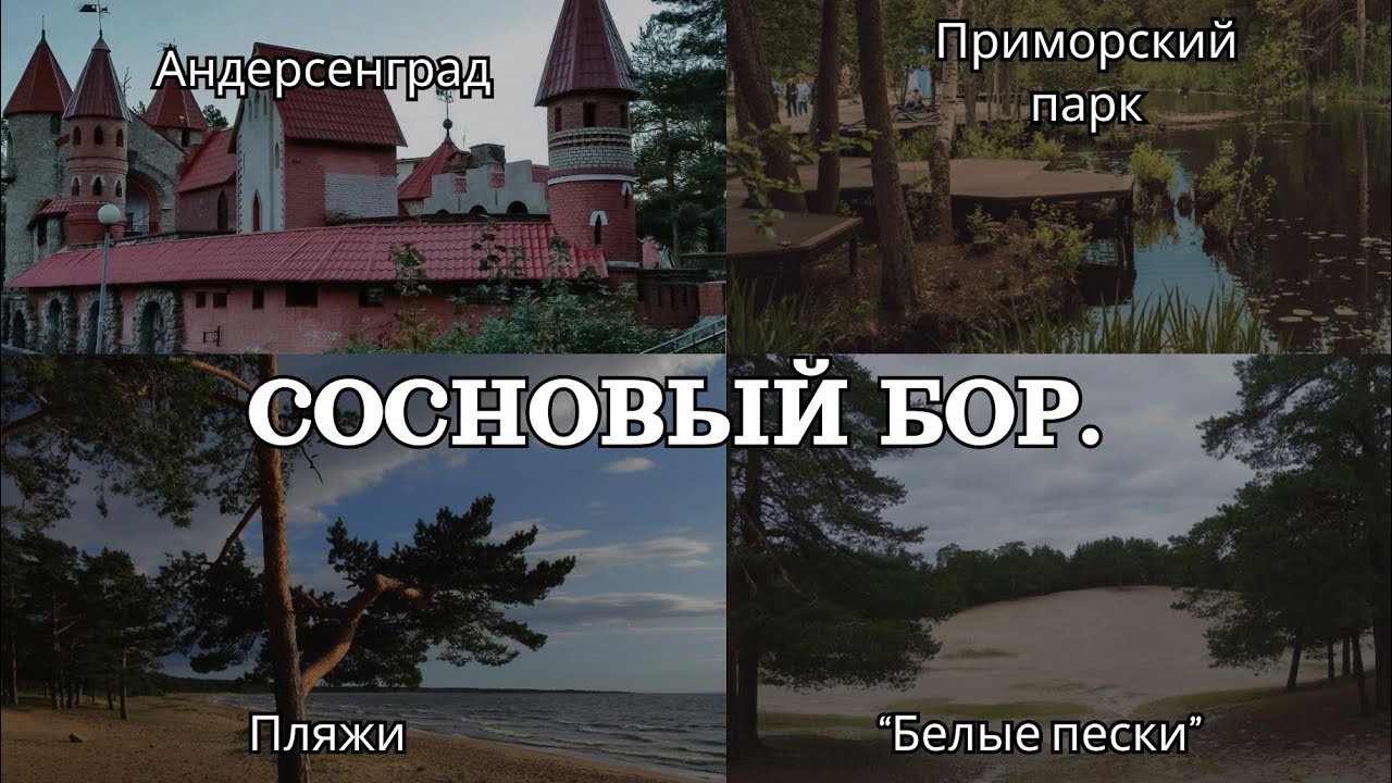 Обзорная прогулка по Сосновому Бору. Секретный пляж. Новая электричка «Финист». «Ноябрь» в мае