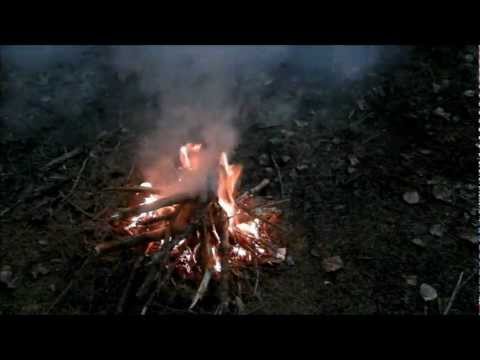 How to get a campfire by using "old man´s beard".