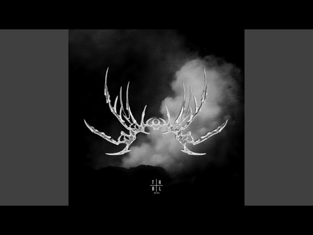 THE VOID (Super Slowed)