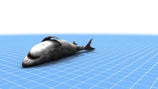 Shark Simulator screenshot 5