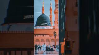 Woh hai sabse pyara nabi||#status #viral #whatsappstatus #editingvideo #editbyme