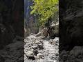 Peace and joy #nature #travel #mountains #outdoors #explore #viralvideo #green #life #beautiful