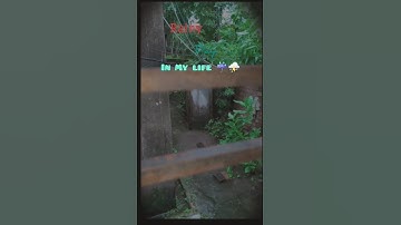 Rainy Day In My Life ☔⛈️😢 (02/1000)Mini vlog ❤️ subscribe for more 👇#shortvideo #minivlog #rainyday