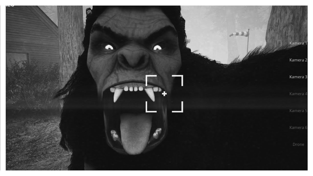 Jage NIEMALS ALLEINE Bigfoot!