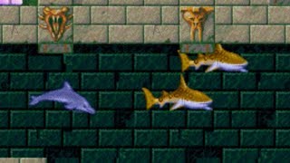 Ecco the Dolphin strikes again
