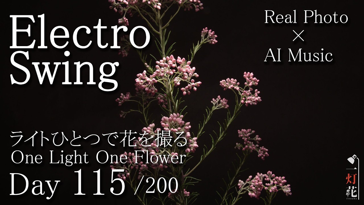 Electro Swing》Rice flower| Flower Music ｜ 一灯花 -115.ライス