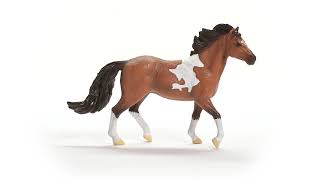 Figurine Schleich Horse Club - Étalon Mangalarga Marchador Brun Pour Enfants Dès 5 Ans
