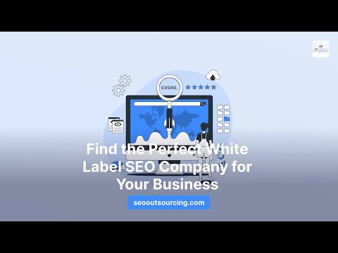 seo expert