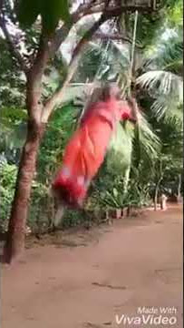 Nenek nenek main ayunan