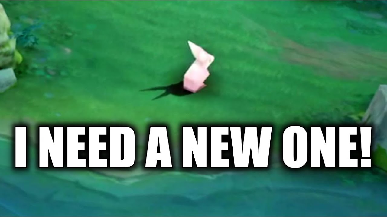 HOW LONG DO I NEED TO WAIT TO SEE A COLLAB DIGGIE?