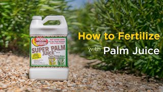 How To Fertilize Super Palm Juice